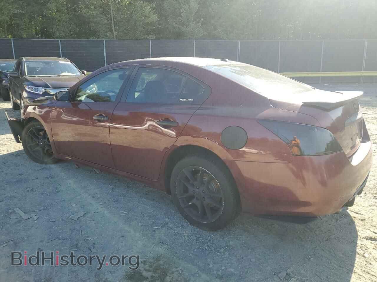 2009 NISSAN MAXIMA - VIN: 1N4AA51EX9C815512 - Фото 2