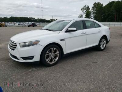 2013 Ford TAURUS Taurus SEL, white — VIN 1FAHP2E80DG175599, Copart