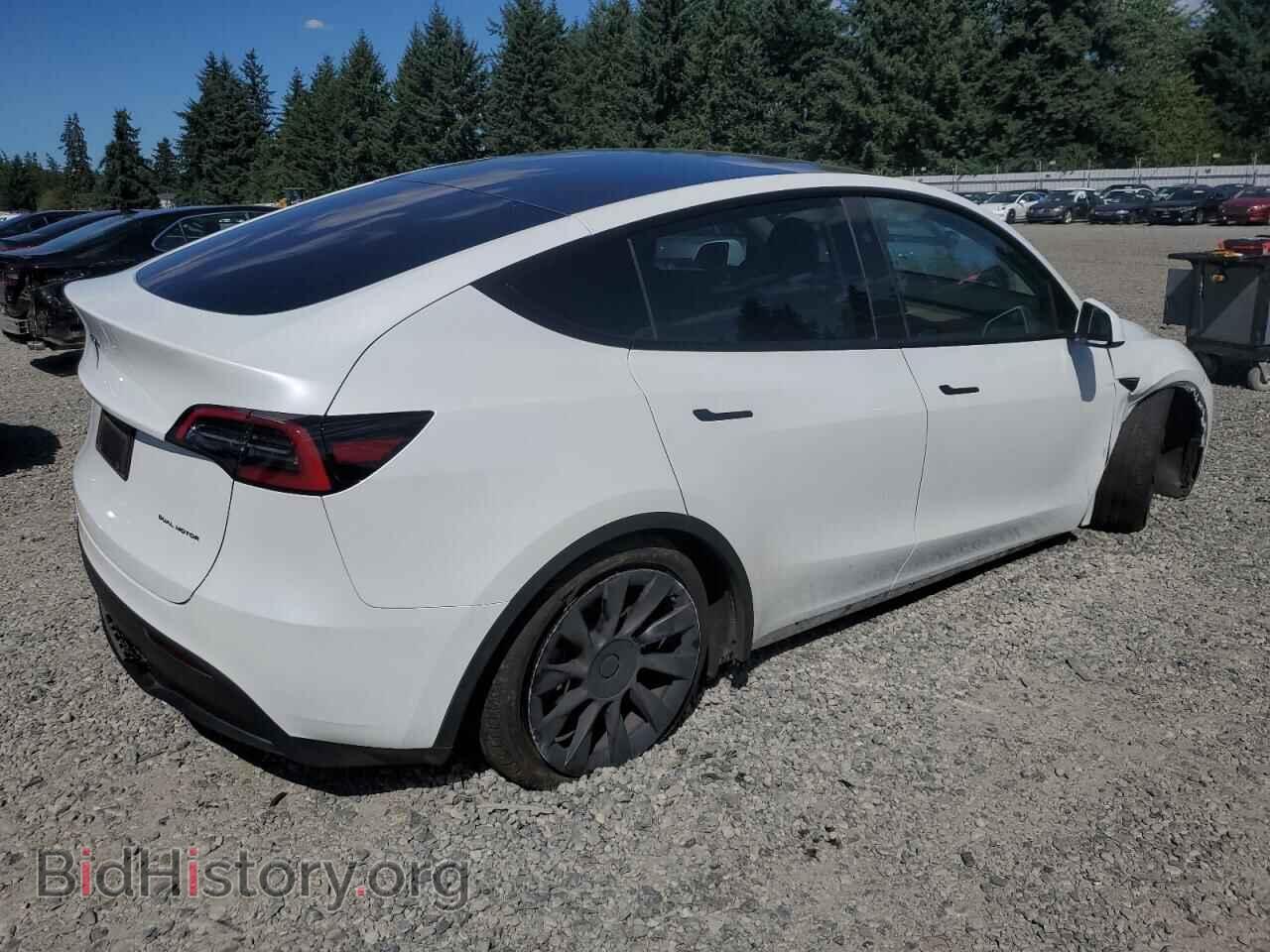 2023 TESLA MODEL Y - VIN: 7SAYGDEEXPF893478 - Фото 3