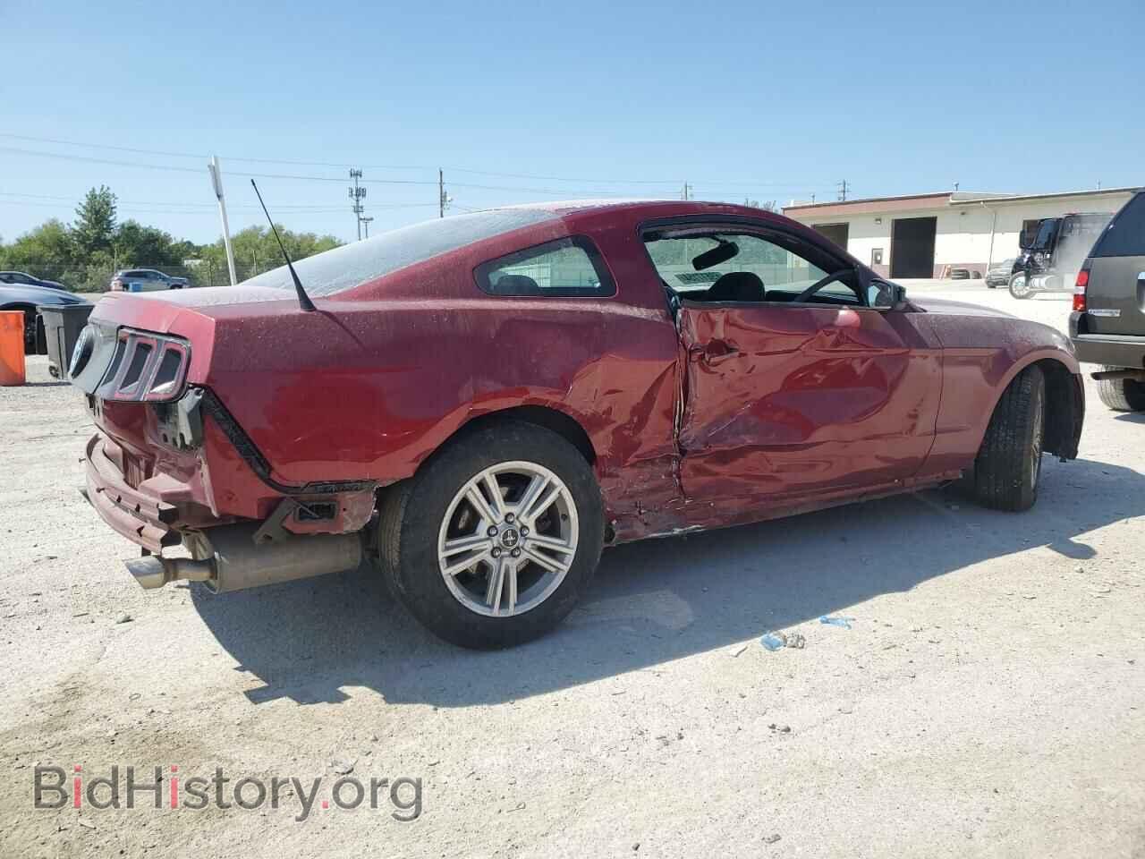 2014 FORD ALL Models - VIN: 1ZVBP8AM9E5212231 - Фото 3