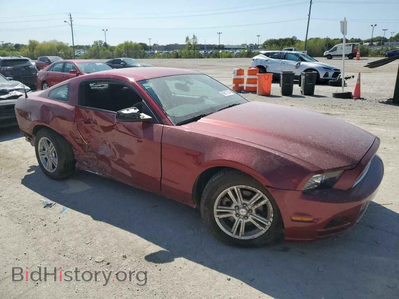 2014 FORD ALL Models - VIN: 1ZVBP8AM9E5212231 - Фото 4