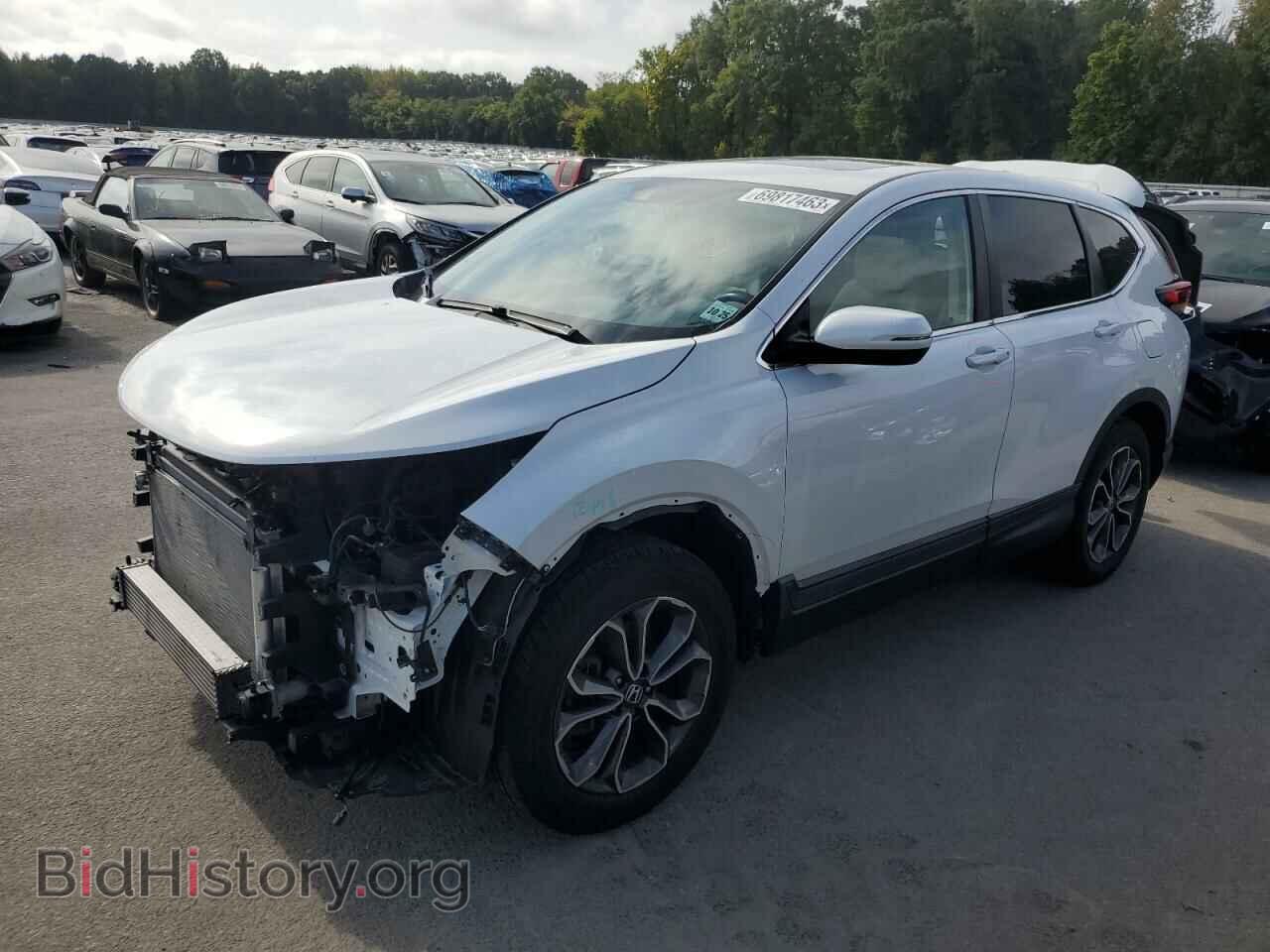 Photo 2HKRW2H85LH686202 - HONDA CRV 2020