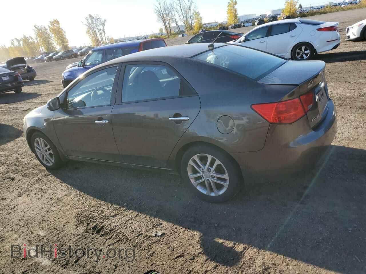2011 KIA FORTE - VIN: KNAFU4A29B5447743 - Фото 2