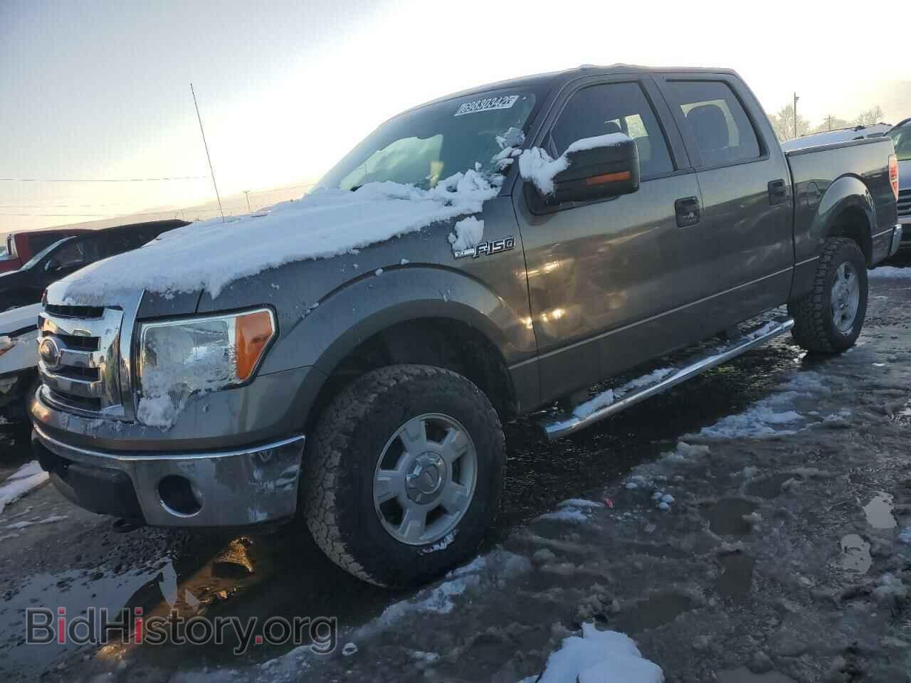 Фотография 1FTFW1EF2BFC51646 - FORD F-150 2011
