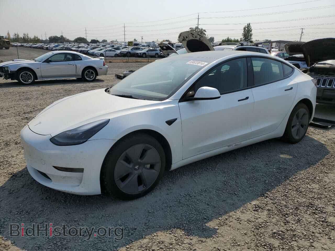 Фотография 5YJ3E1EA1PF450113 - TESLA MODEL 3 2023
