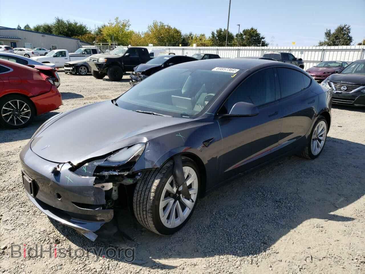 Photo 5YJ3E1EA3PF456186 - TESLA MODEL 3 2023