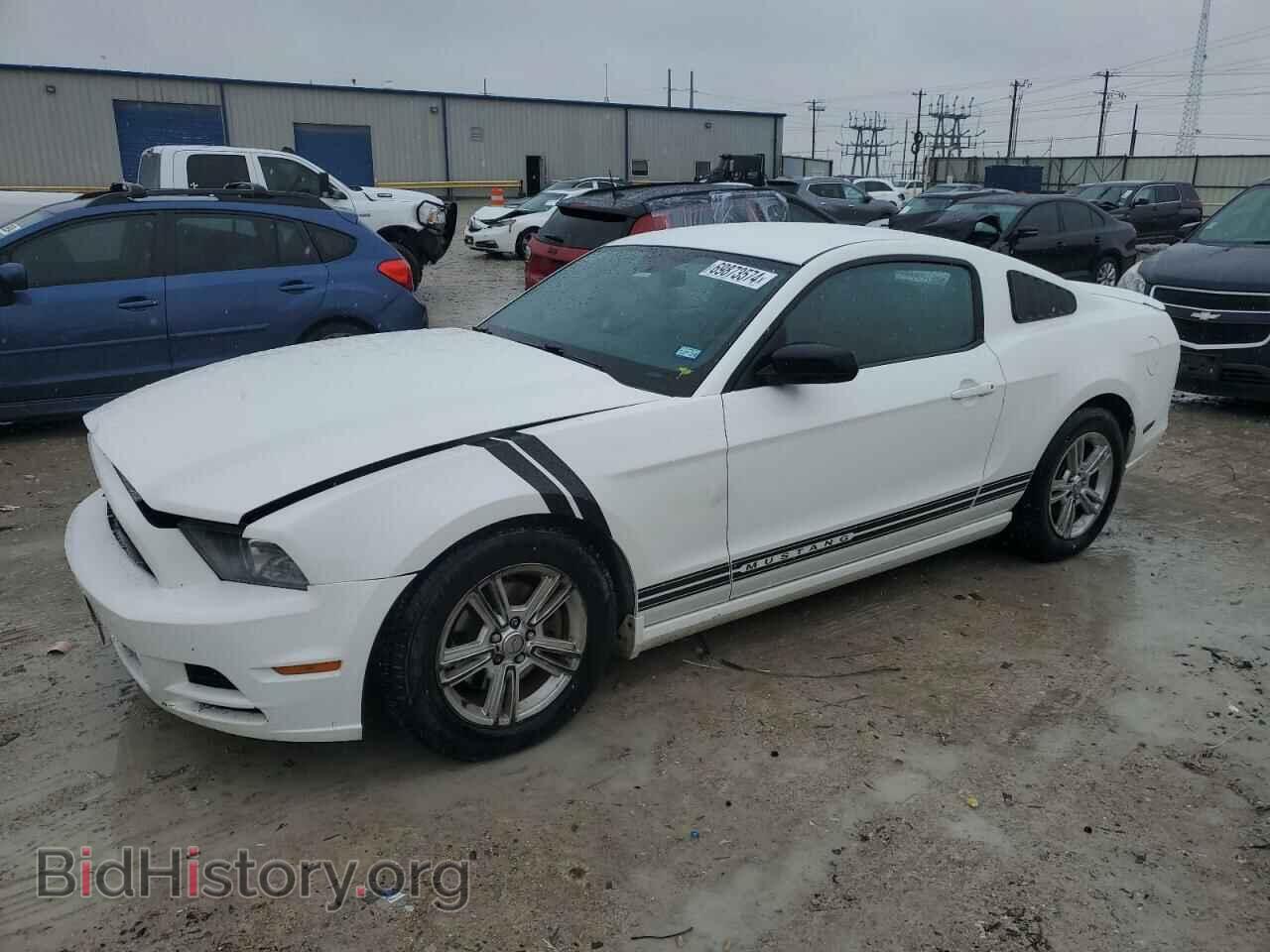 Photo 1ZVBP8AM1D5259283 - FORD ALL Models 2013