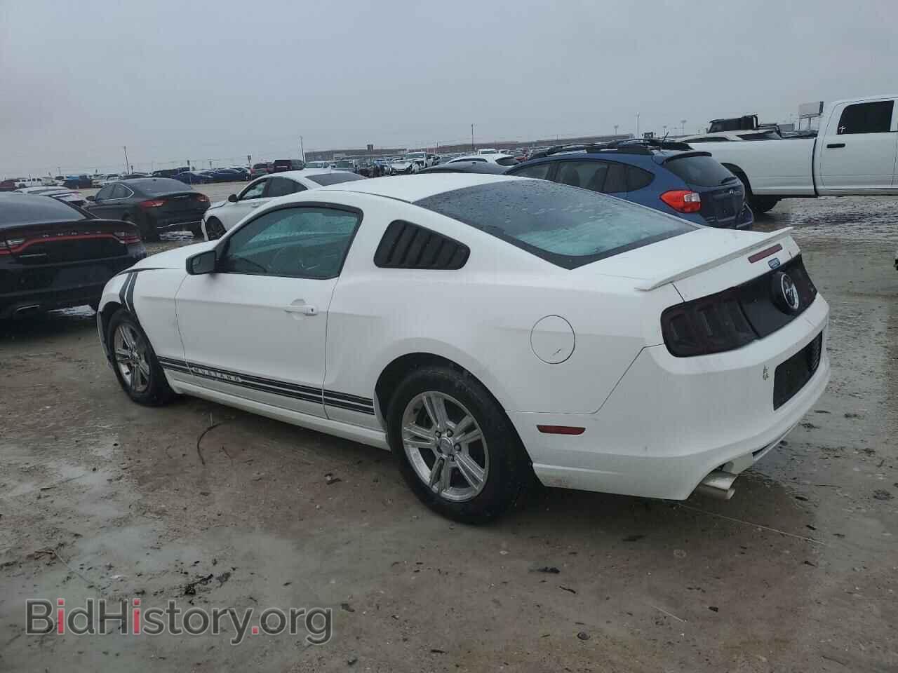 2013 FORD ALL Models - VIN: 1ZVBP8AM1D5259283 - Photo 2