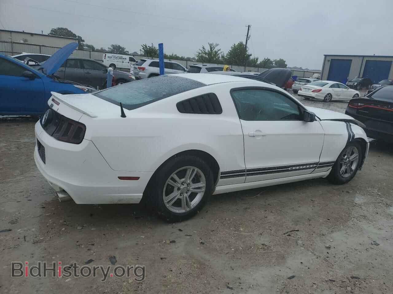 2013 FORD ALL Models - VIN: 1ZVBP8AM1D5259283 - Photo 3