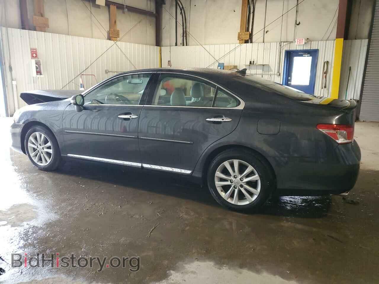 2010 LEXUS ES350 - VIN: JTHBK1EG8A2408782 - Фото 2