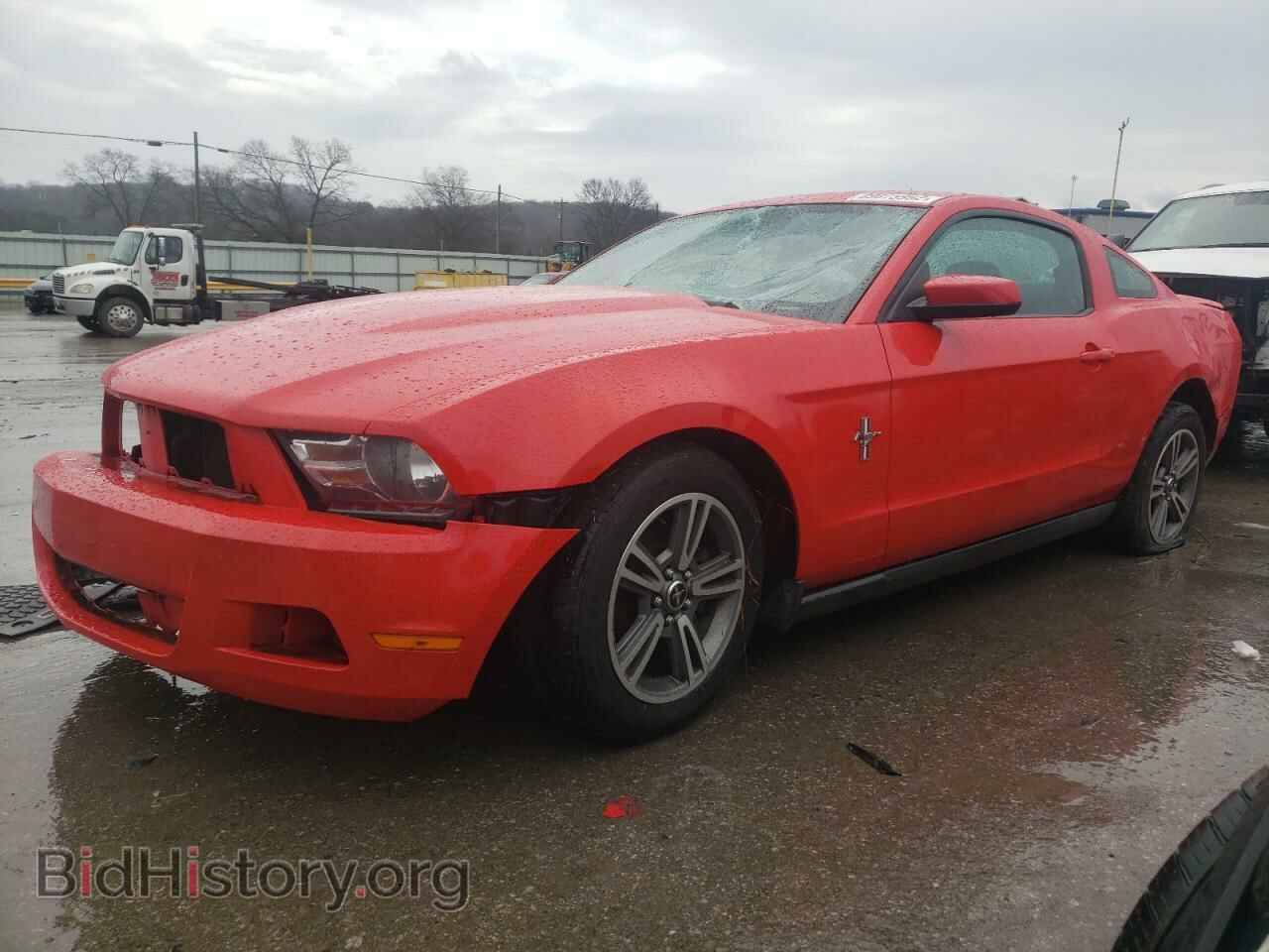 Photo 1ZVBP8AN4A5173471 - FORD MUSTANG 2010