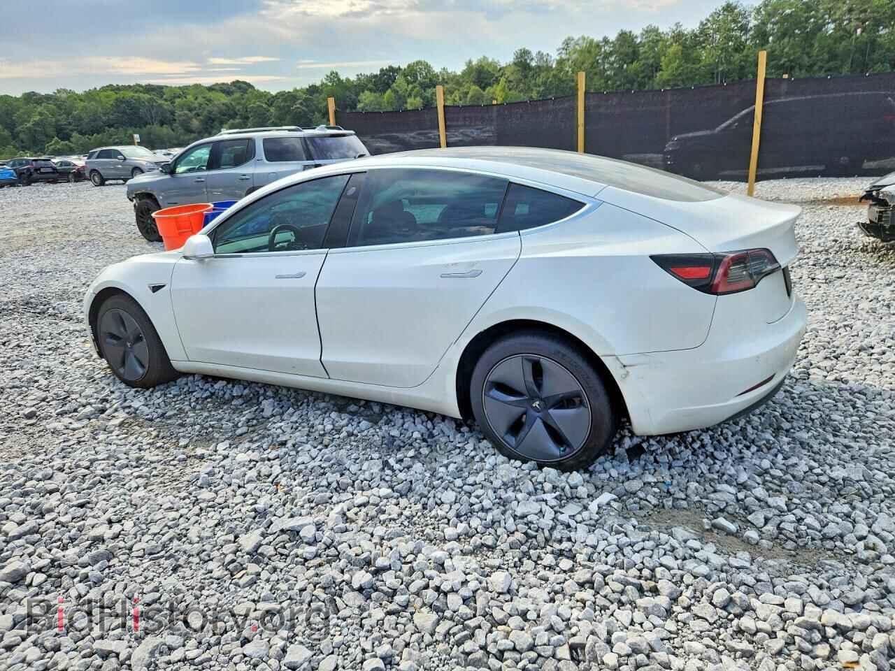 2020 TESLA MODEL 3 - VIN: 5YJ3E1EBXLF619659 - Фото 2