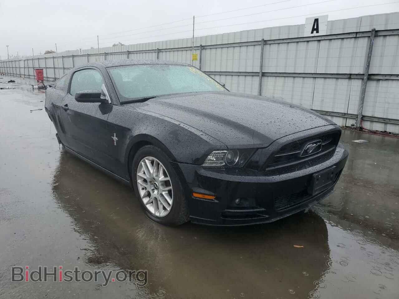 2013 FORD MUSTANG - VIN: 1ZVBP8AM5D5251641 - Фото 4