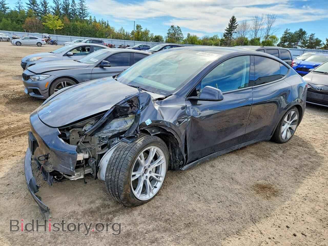 Фотография 7SAYGAEEXRF005040 - TESLA MODEL Y 2024