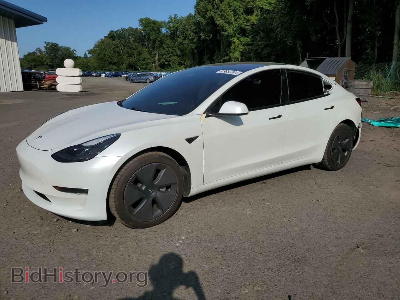 Photo 5YJ3E1EB8MF975786 - TESLA MODEL 3 2021