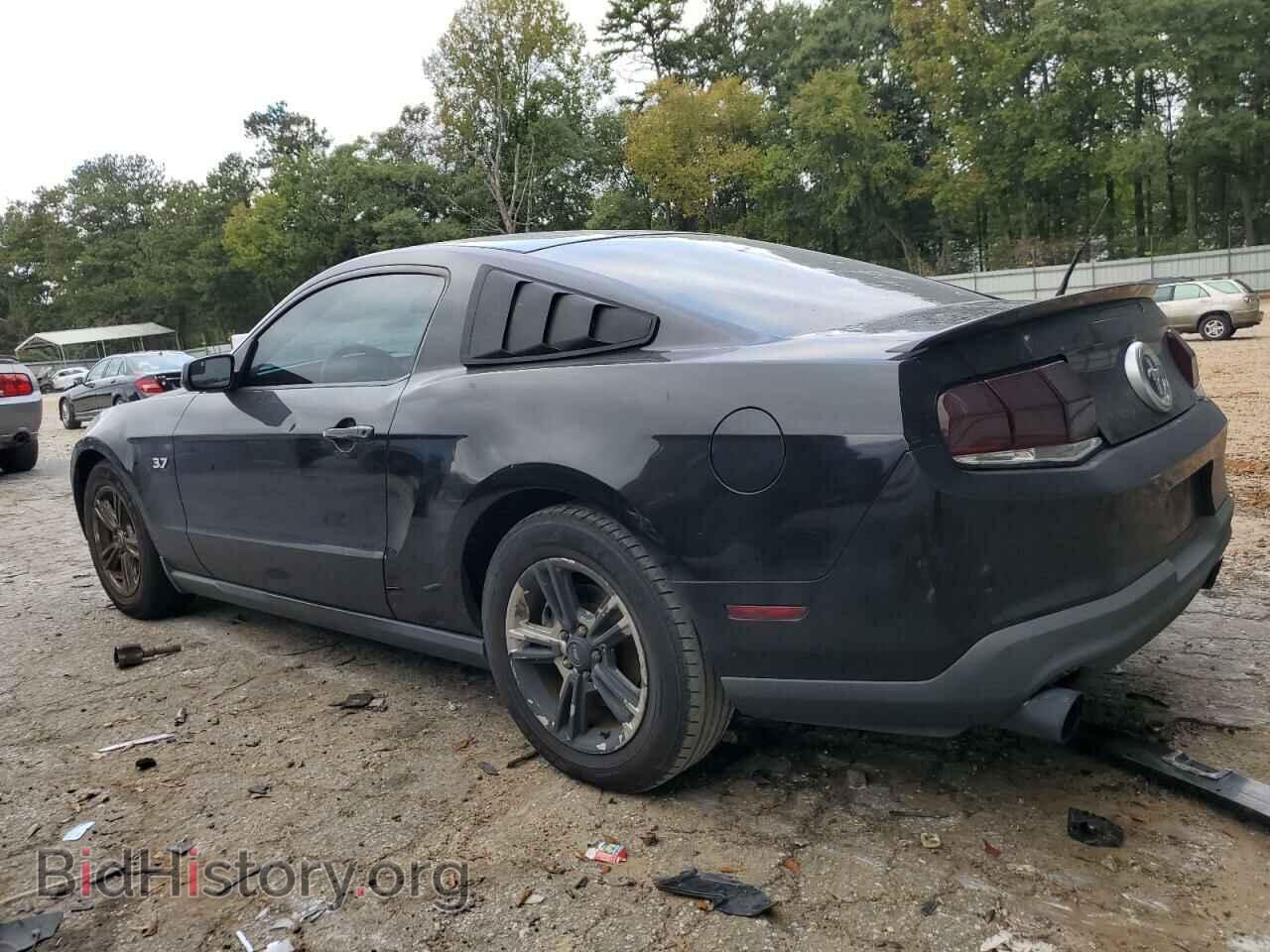 2011 FORD ALL Models - VIN: 1ZVBP8AM4B5135800 - Фото 2