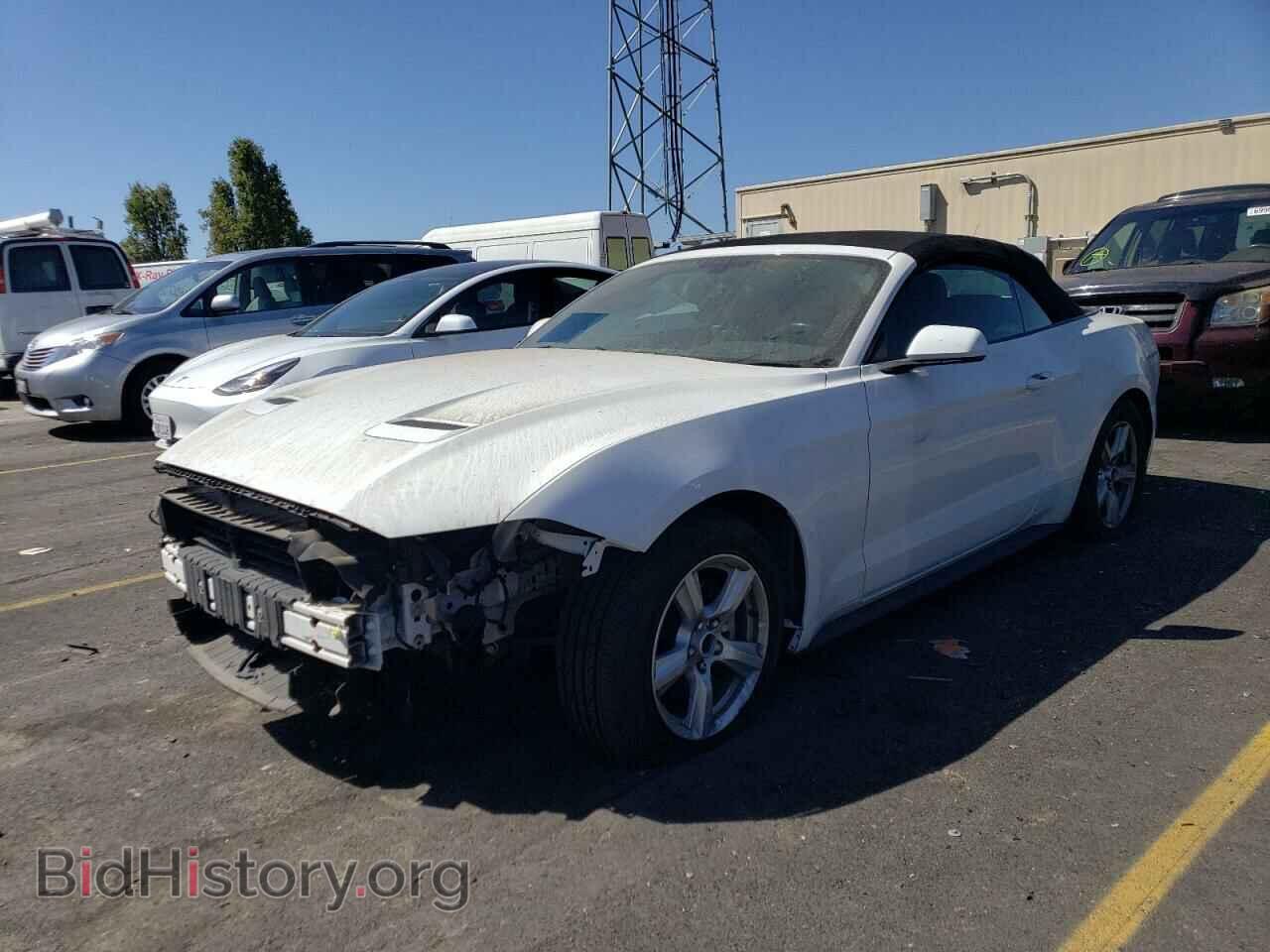 Photo 1FATP8UH5K5158790 - FORD ALL Models 2019