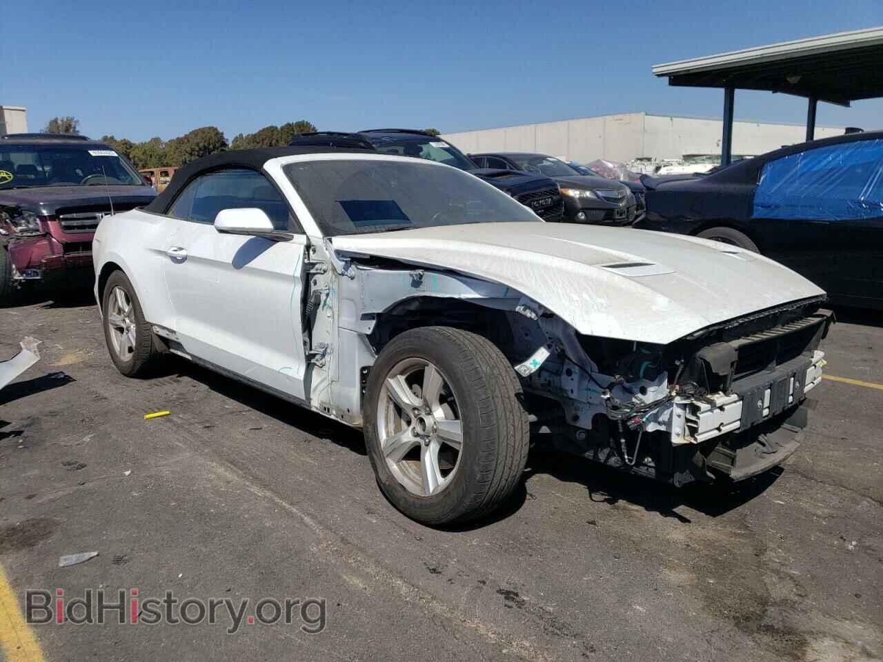 2019 FORD ALL Models - VIN: 1FATP8UH5K5158790 - Фото 4