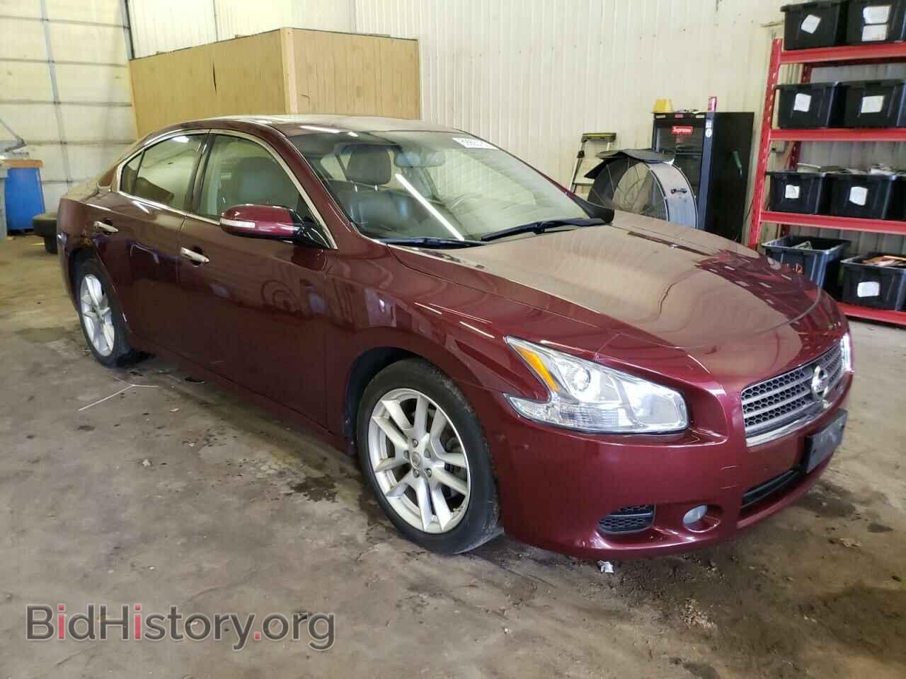 2009 NISSAN MAXIMA - VIN: 1N4AA51EX9C820077 - Фото 4