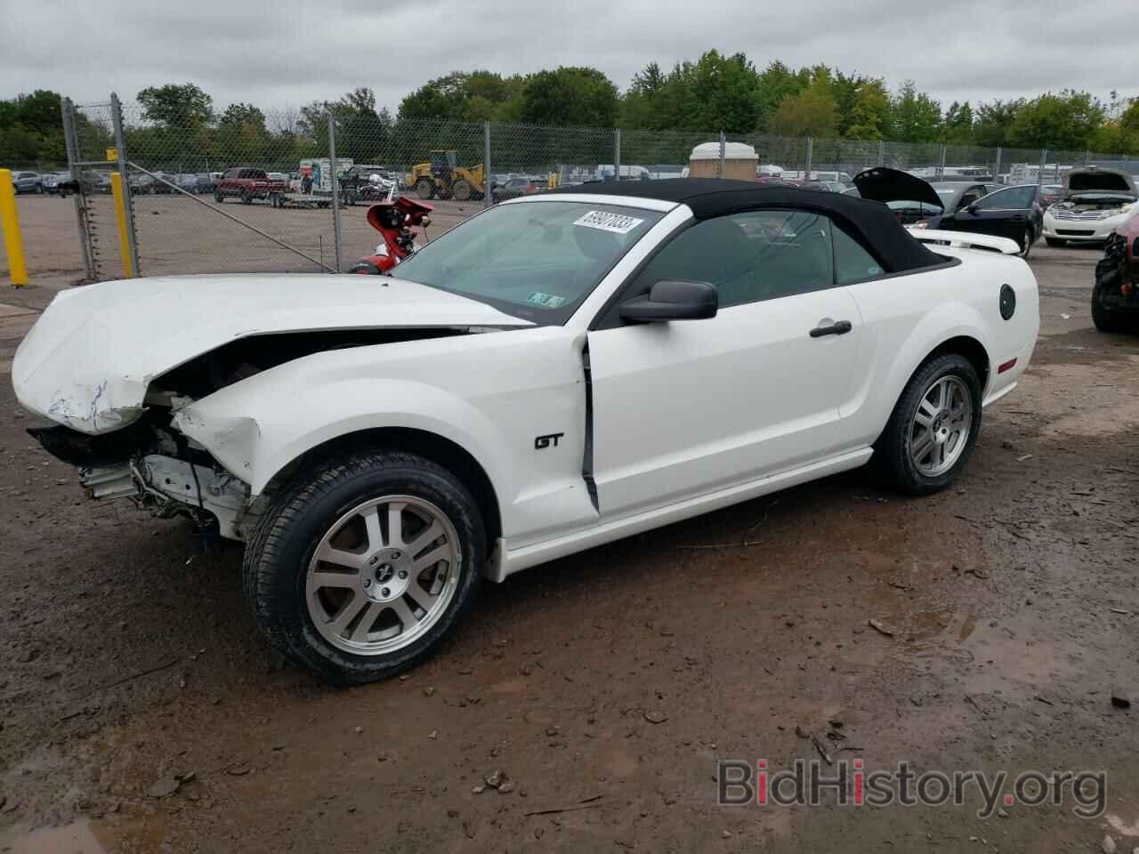 Photo 1ZVHT85H165191041 - FORD MUSTANG 2006