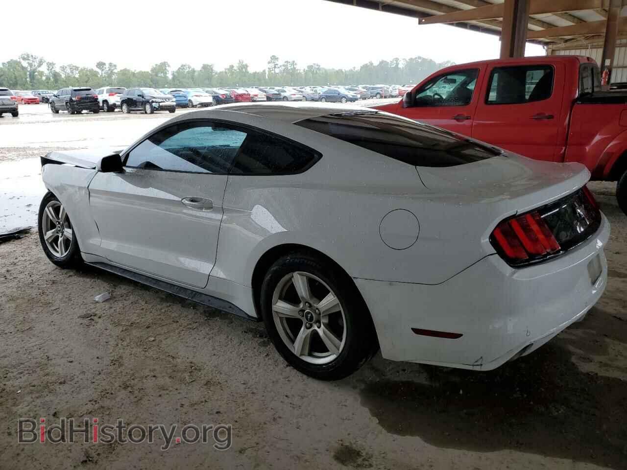 2017 FORD ALL Models - VIN: 1FA6P8AM7H5230855 - Фото 2