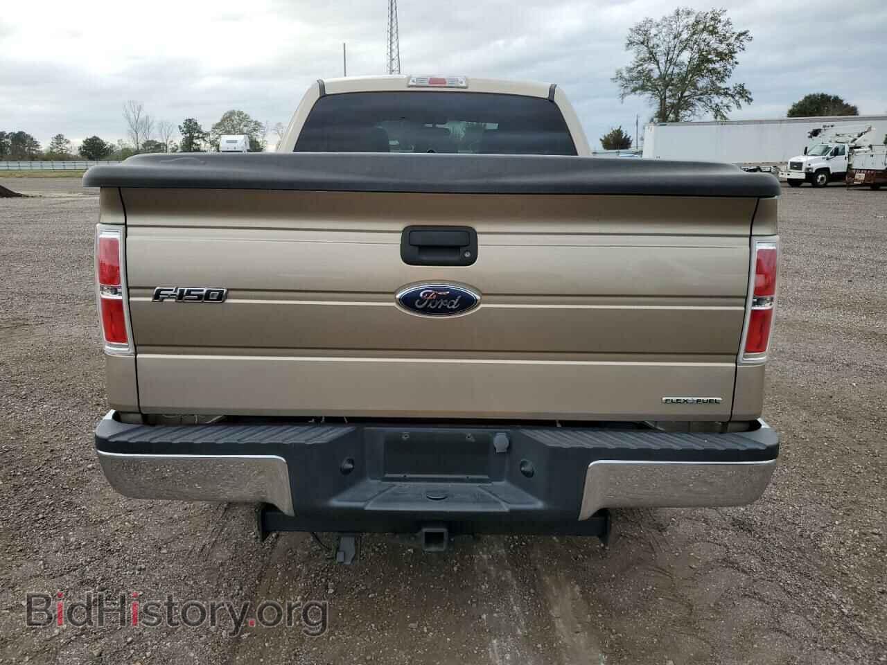 2011 FORD F-150 - VIN: 1FTEX1CM4BFA34657 - Фото 6