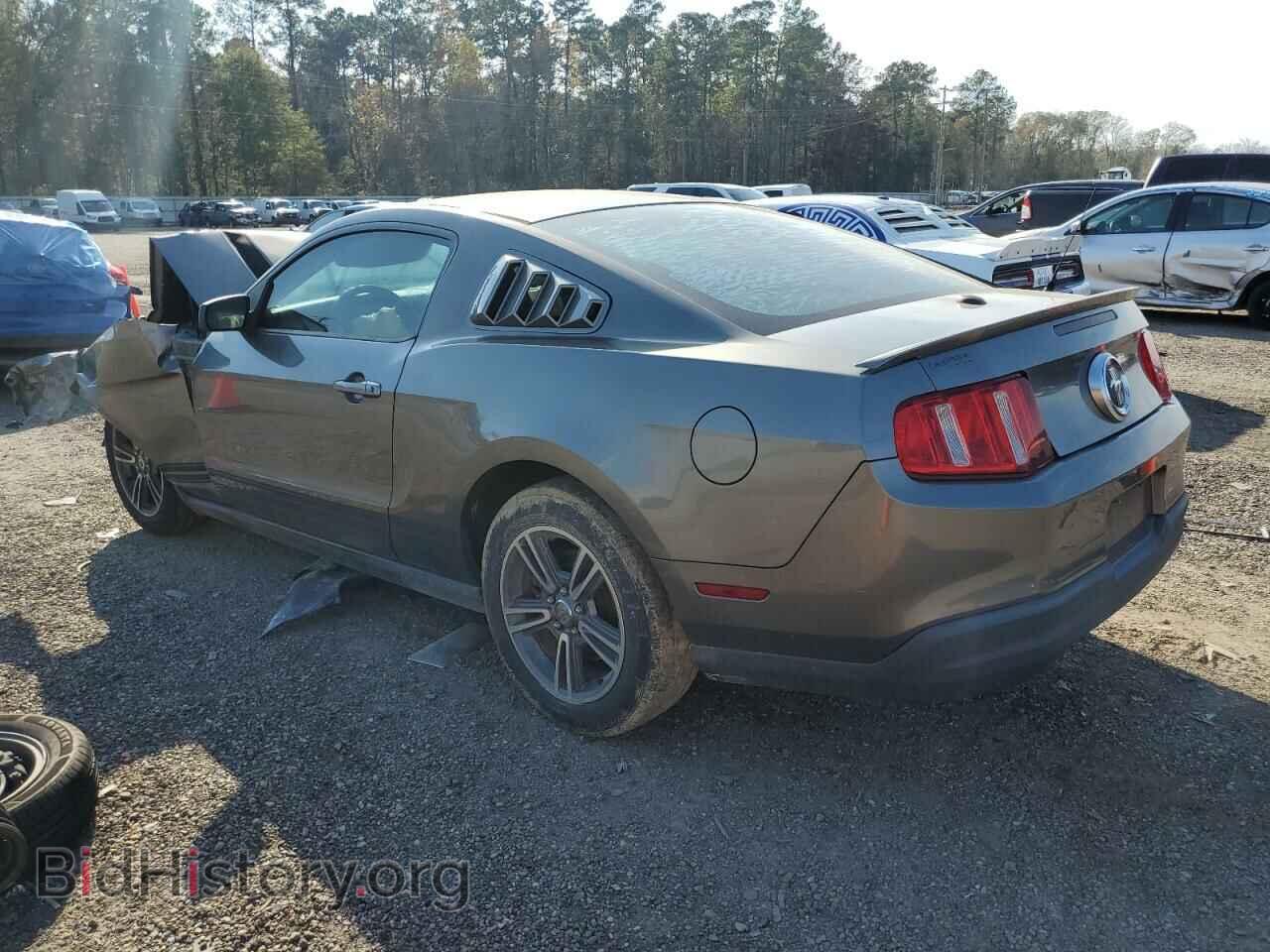 2010 FORD MUSTANG - VIN: 1ZVBP8AN0A5107094 - Фото 2