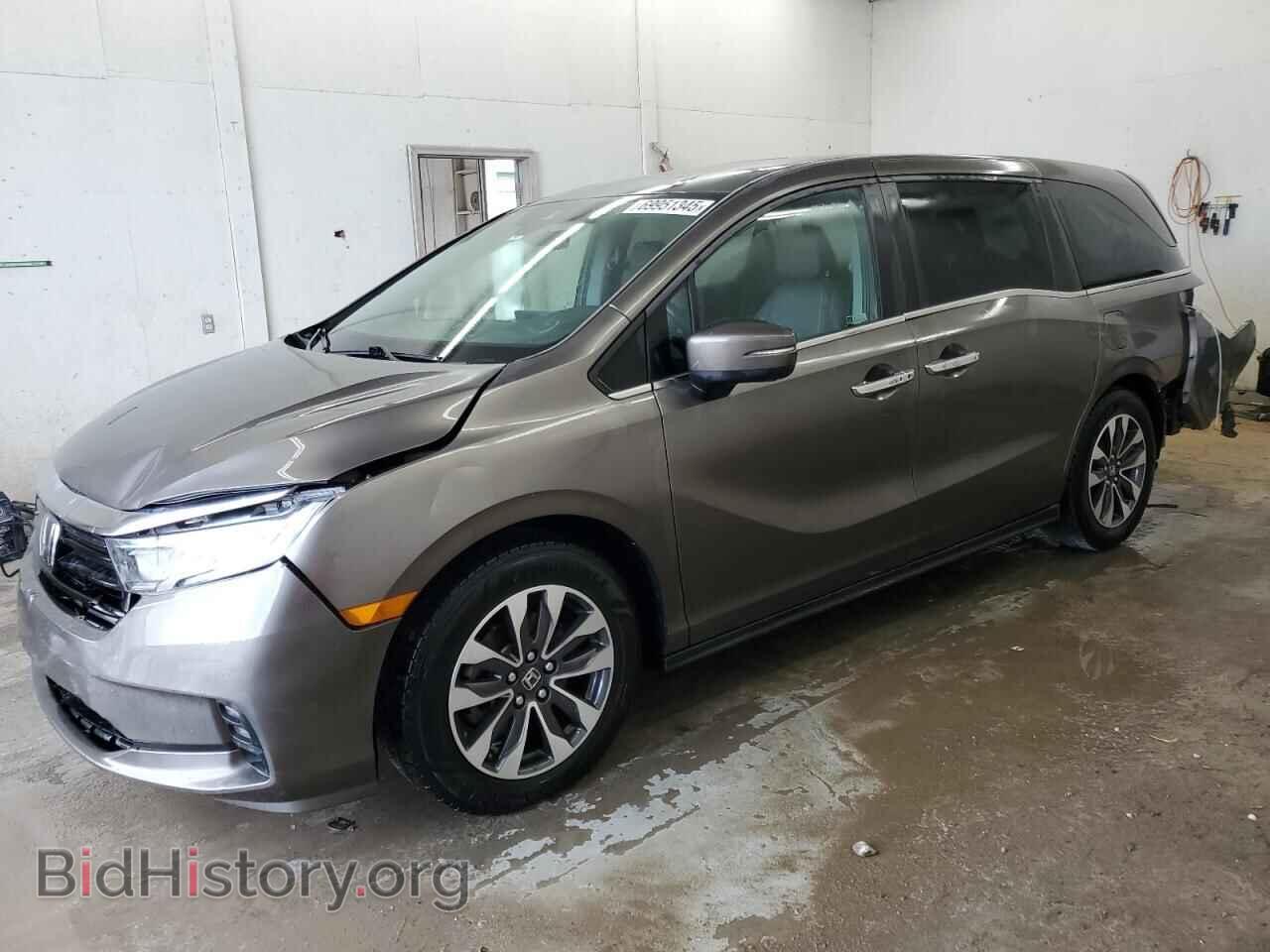 Photo 5FNRL6H77MB021065 - HONDA All Models 2021