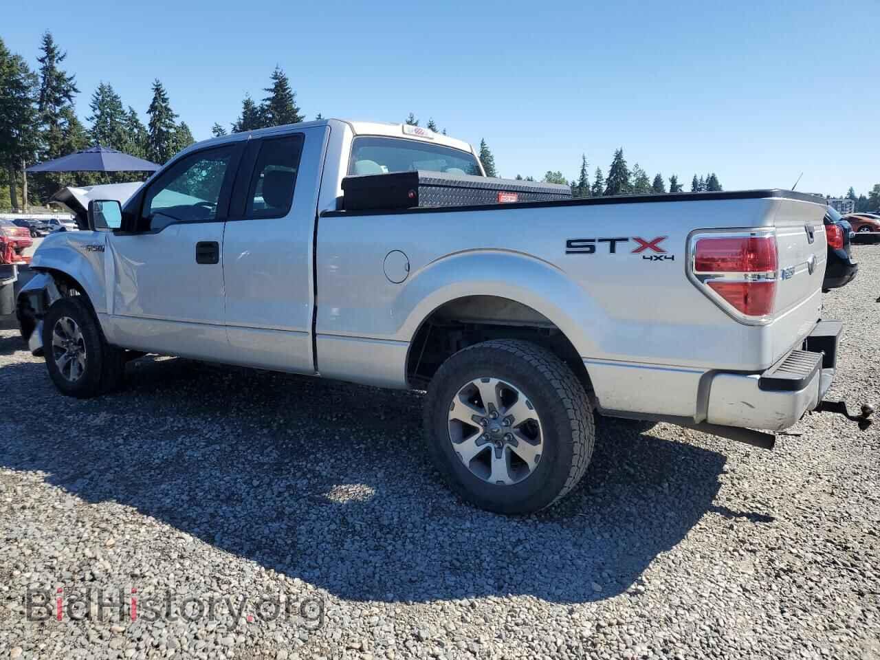 2013 FORD F-150 - VIN: 1FTFX1EF8DFD69782 - Фото 2