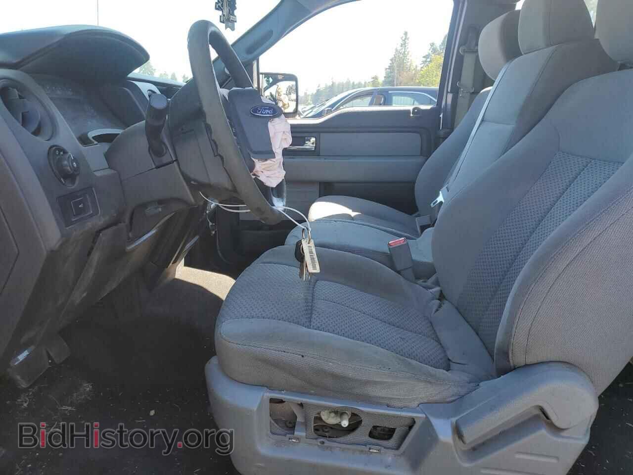 2013 FORD F-150 - VIN: 1FTFX1EF8DFD69782 - Фото 7