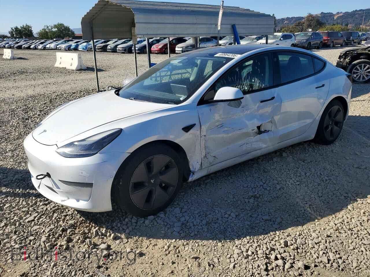Фотография 5YJ3E1EA2MF074923 - TESLA MODEL 3 2021