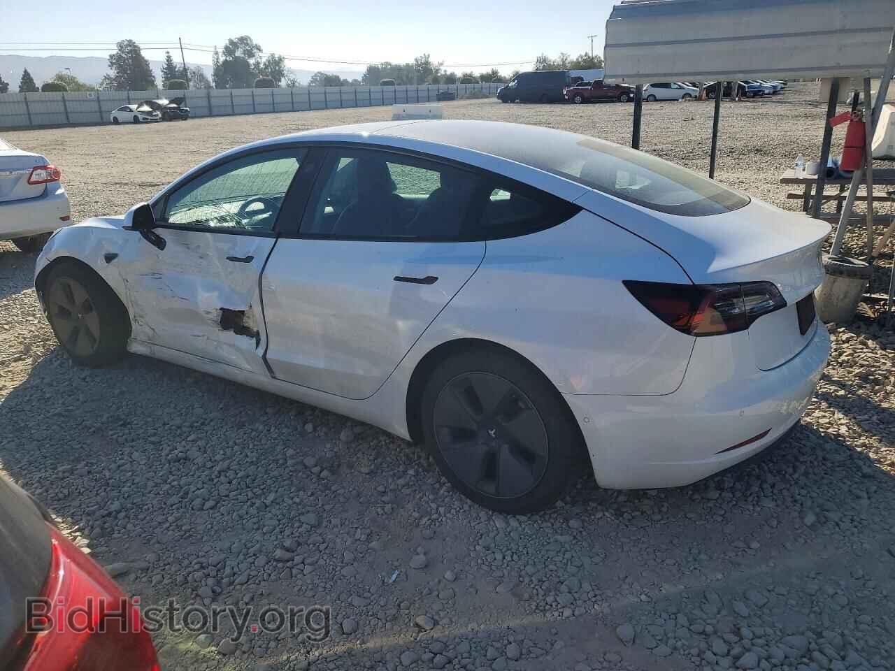 2021 TESLA MODEL 3 - VIN: 5YJ3E1EA2MF074923 - Photo 2