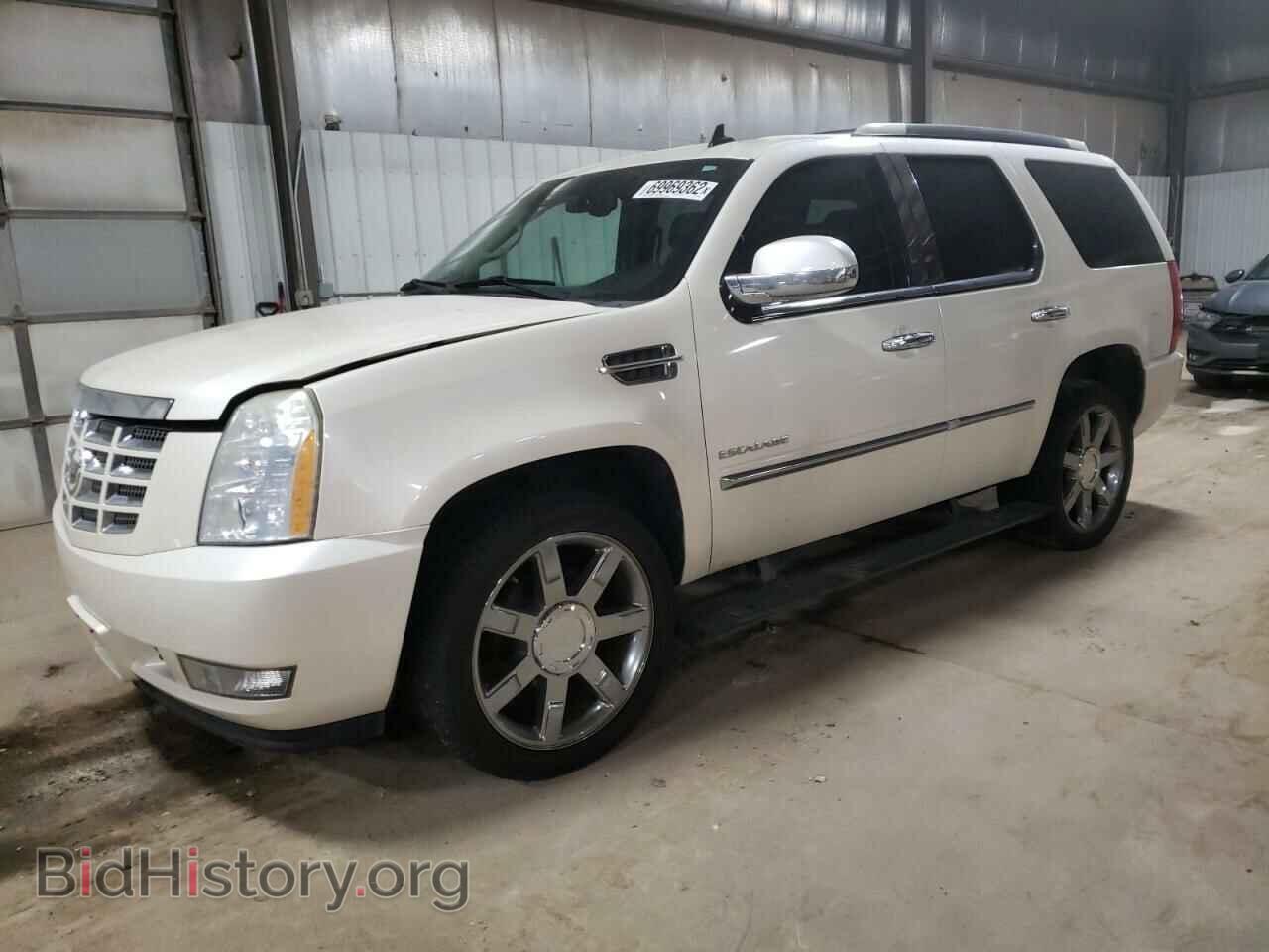 Photo 1GYUKCEF7AR147885 - CADILLAC ESCALADE 2010