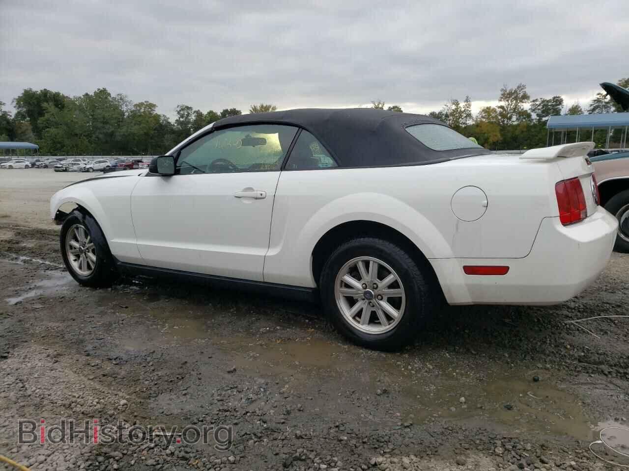 2006 FORD ALL Models - VIN: 1ZVFT84N865122412 - Фото 2