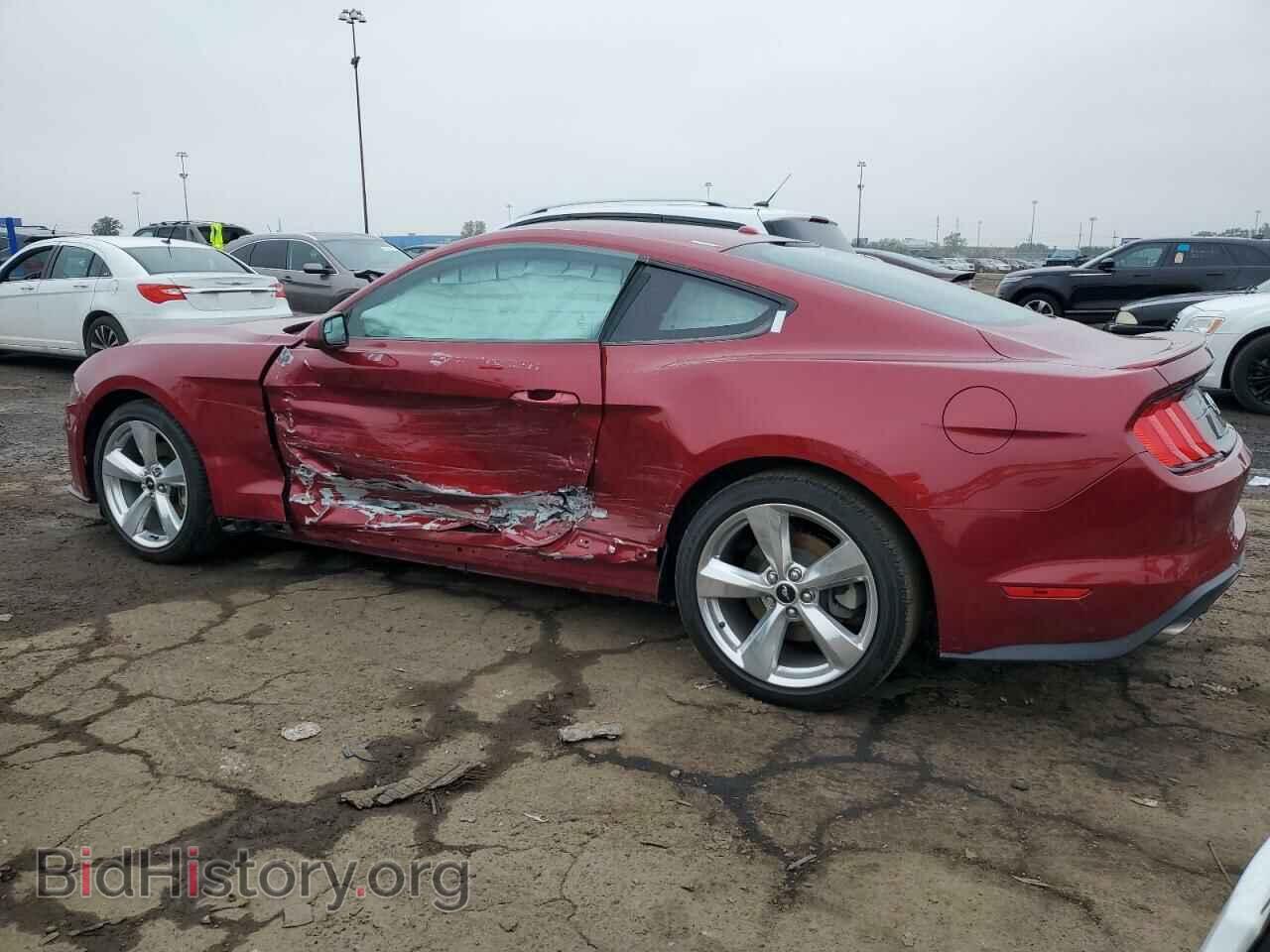 2019 FORD ALL Models - VIN: 1FA6P8TH7K5192308 - Фото 2