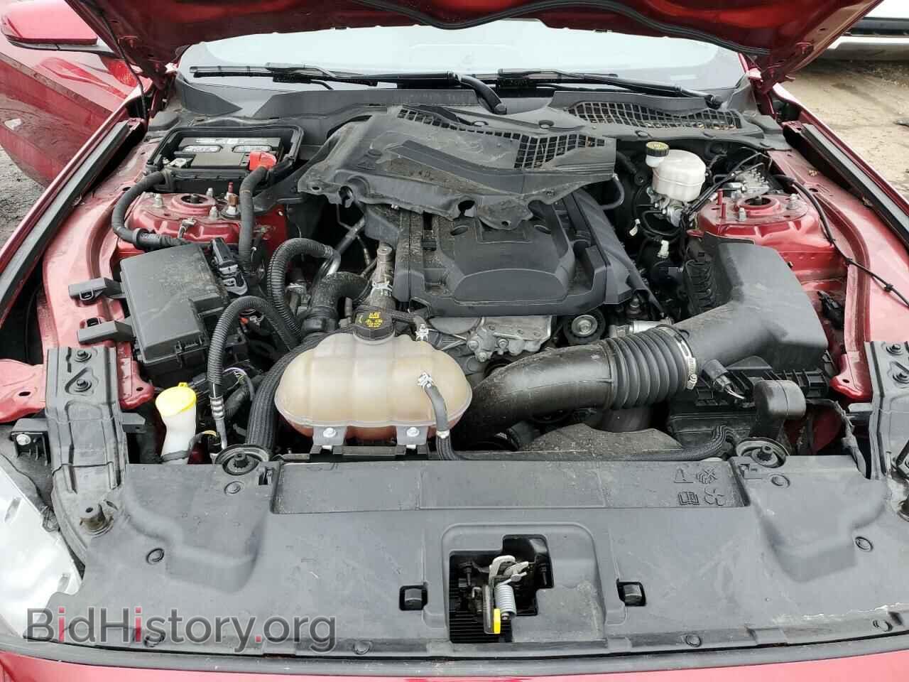 2019 FORD ALL Models - VIN: 1FA6P8TH7K5192308 - Фото 11