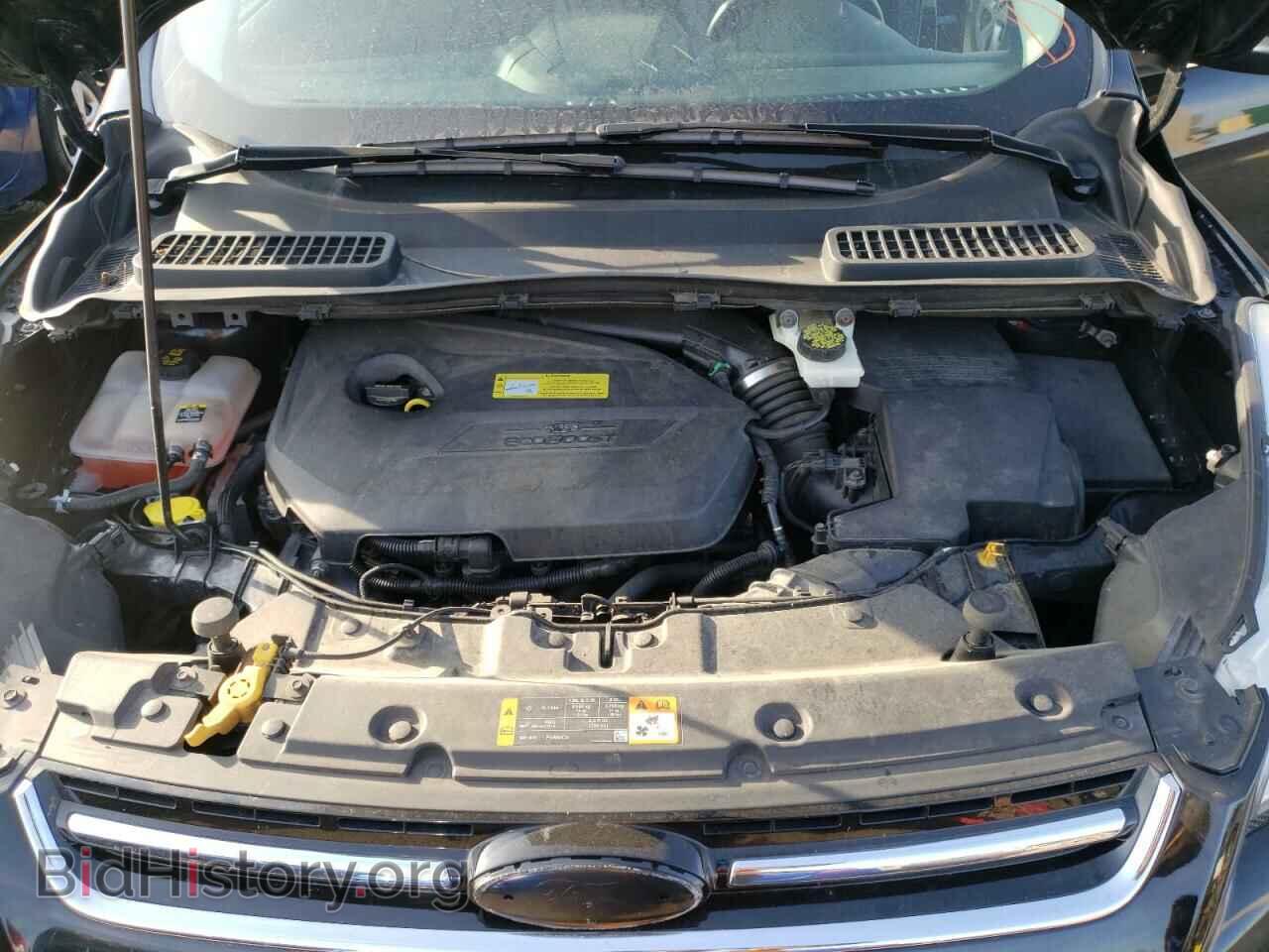 2013 FORD ESCAPE - VIN: 1FMCU0HX4DUA52616 - Фото 7