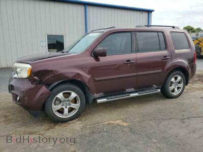 2014 Honda PILOT EXL, темно-бордовый — VIN 5FNYF3H54EB003110, Copart