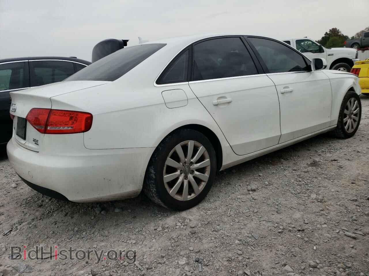 2011 AUDI A4 - VIN: WAUFFAFL3BN020309 - Фото 3