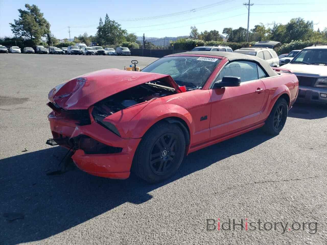Photo 1ZVHT85H965222486 - FORD MUSTANG 2006