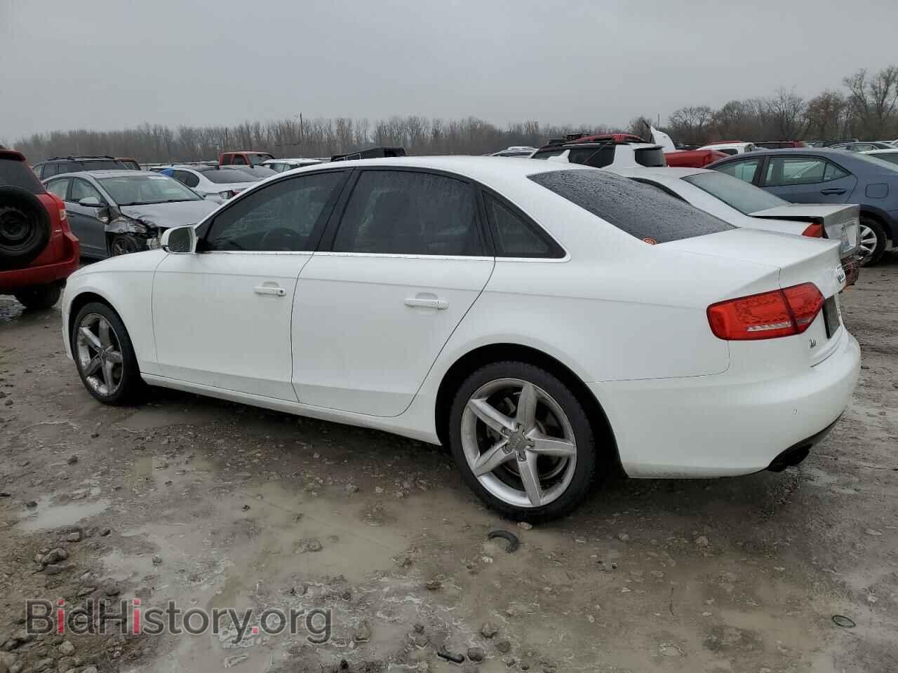 2011 AUDI A4 - VIN: WAUKFAFL9BN037677 - Фото 2