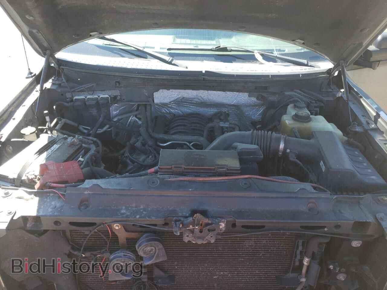 2013 FORD F-150 - VIN: 1FTFX1EF1DFC73900 - Фото 11