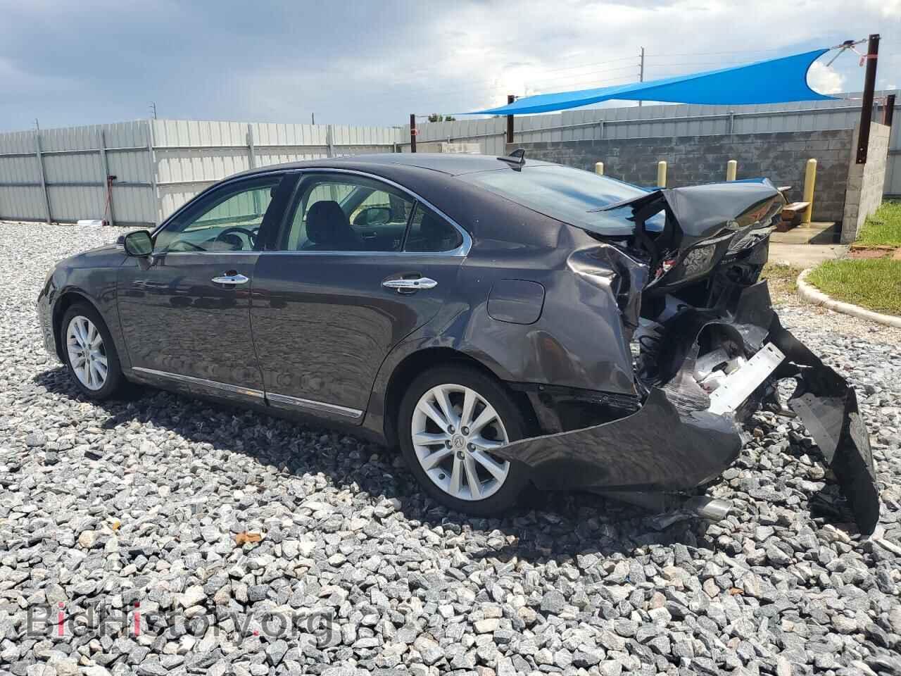 2011 LEXUS ES350 - VIN: JTHBK1EG9B2468300 - Фото 2