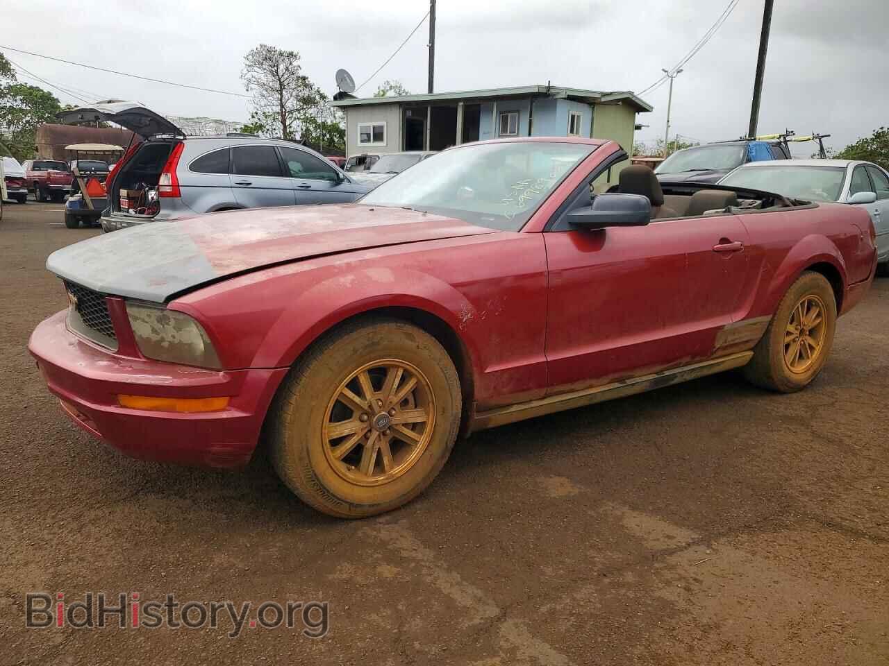Фотография 1ZVFT84N155193546 - FORD MUSTANG 2005