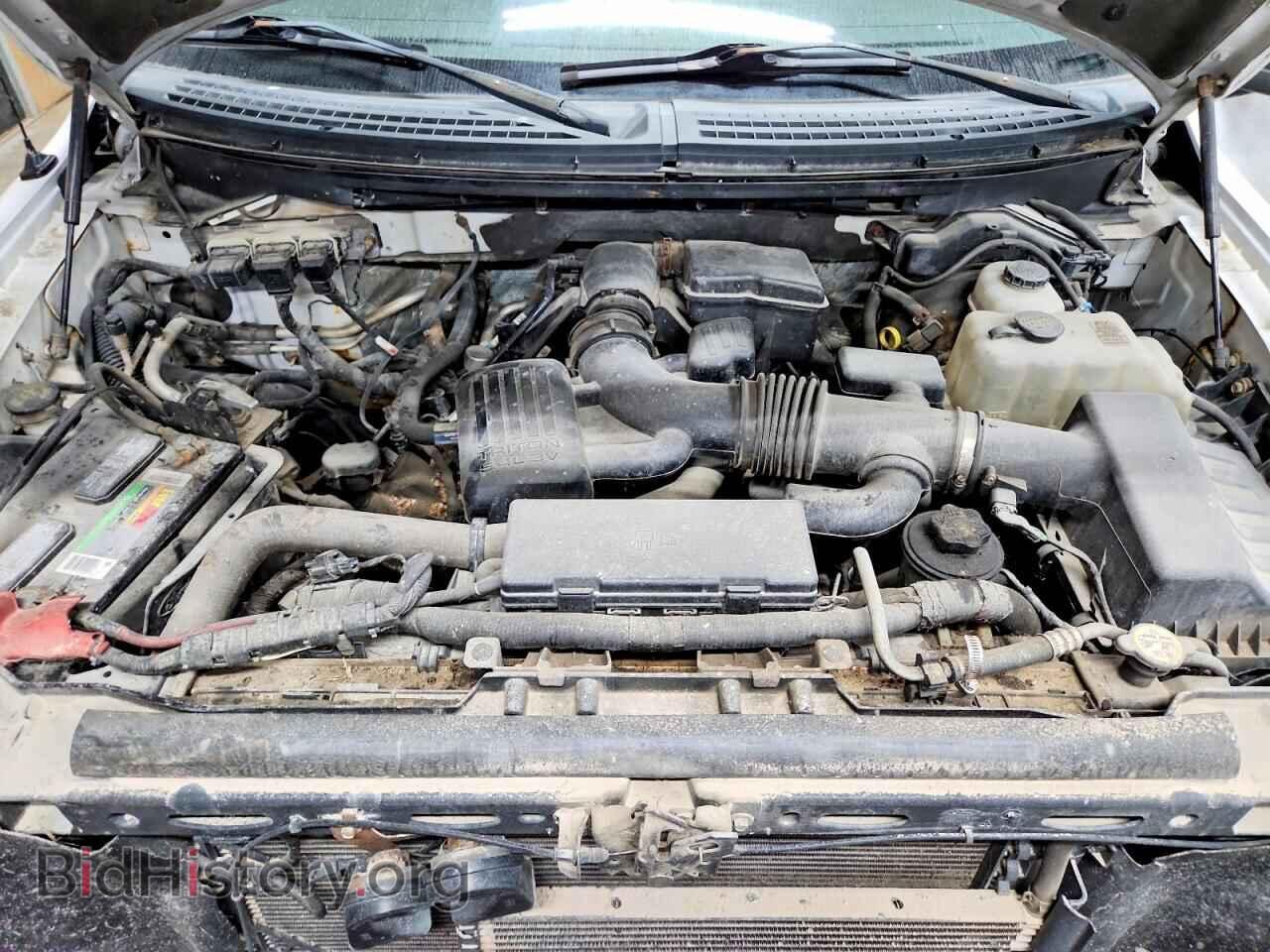 2010 FORD F150 - VIN: 1FTFX1EV7AFC61026 - Фото 11