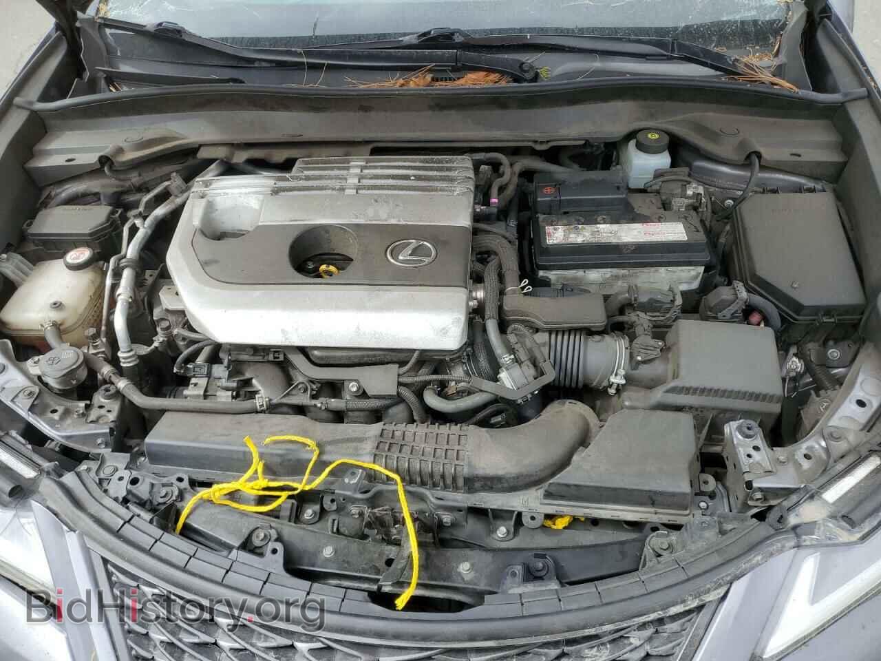 2019 LEXUS UX 200 - VIN: JTHY3JBH8K2004144 - Фото 11