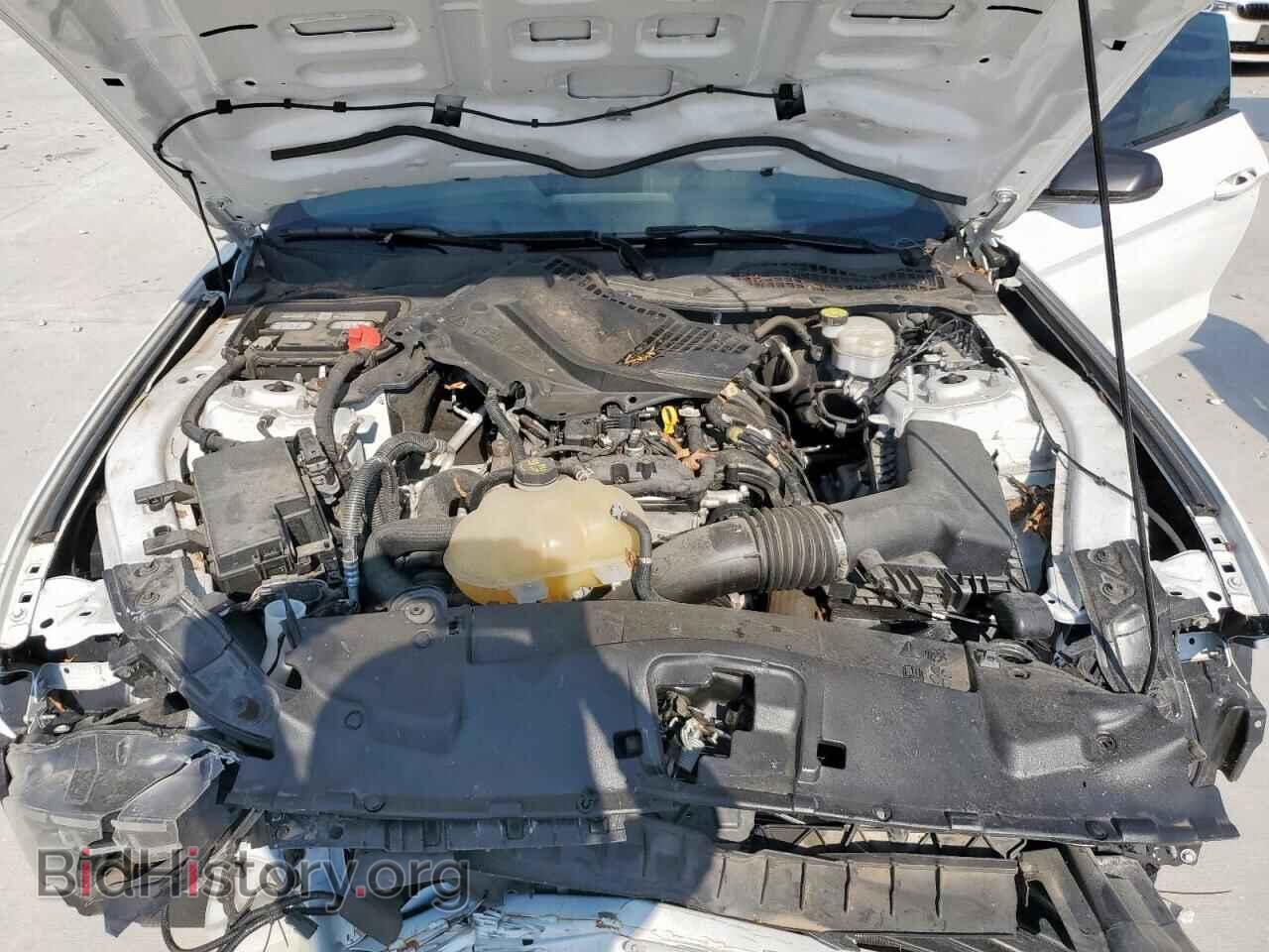 2021 FORD ALL Models - VIN: 1FA6P8TH1M5147562 - Photo 11