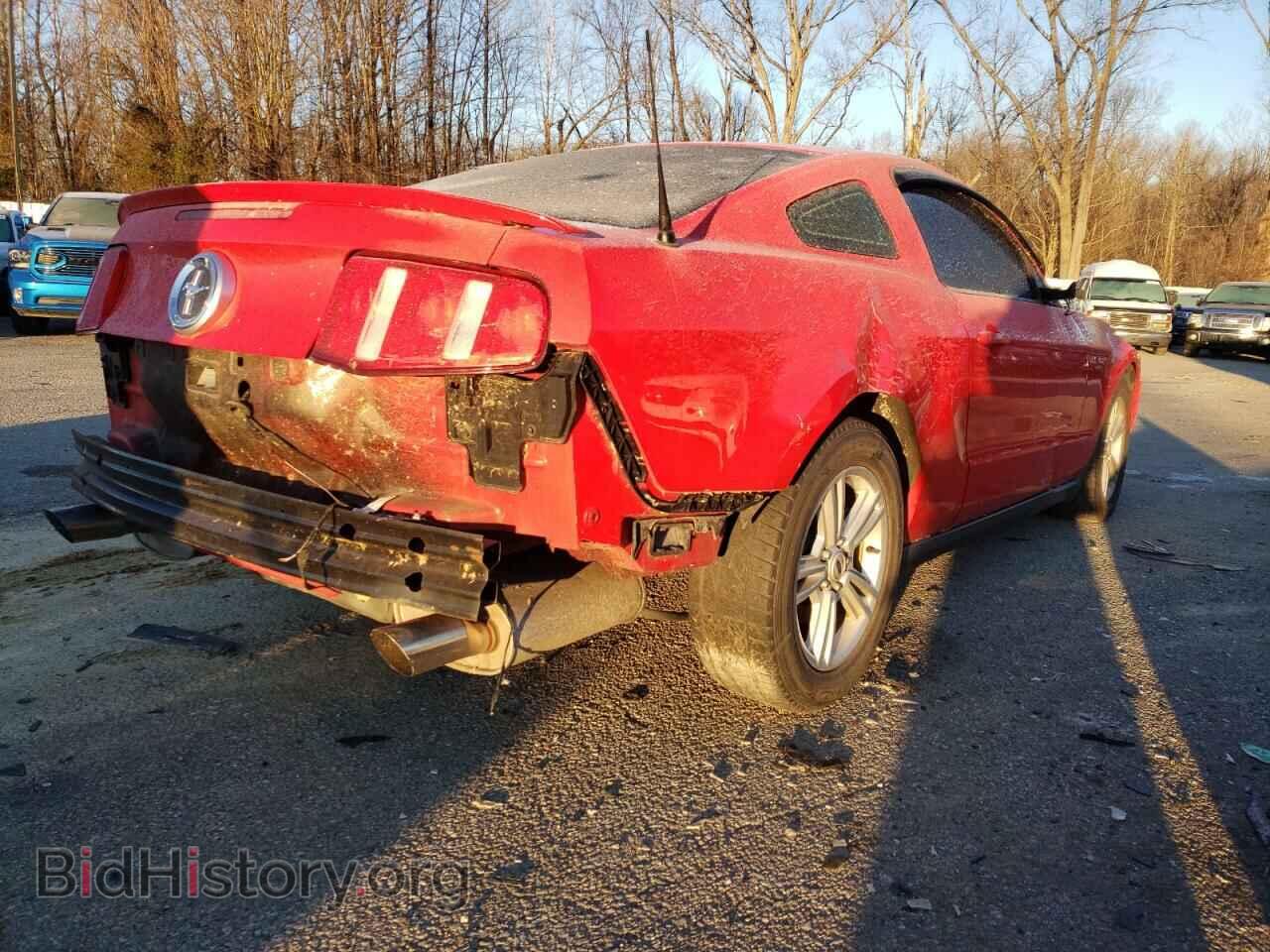 2011 FORD MUSTANG - VIN: 1ZVBP8AM1B5164297 - Фото 9