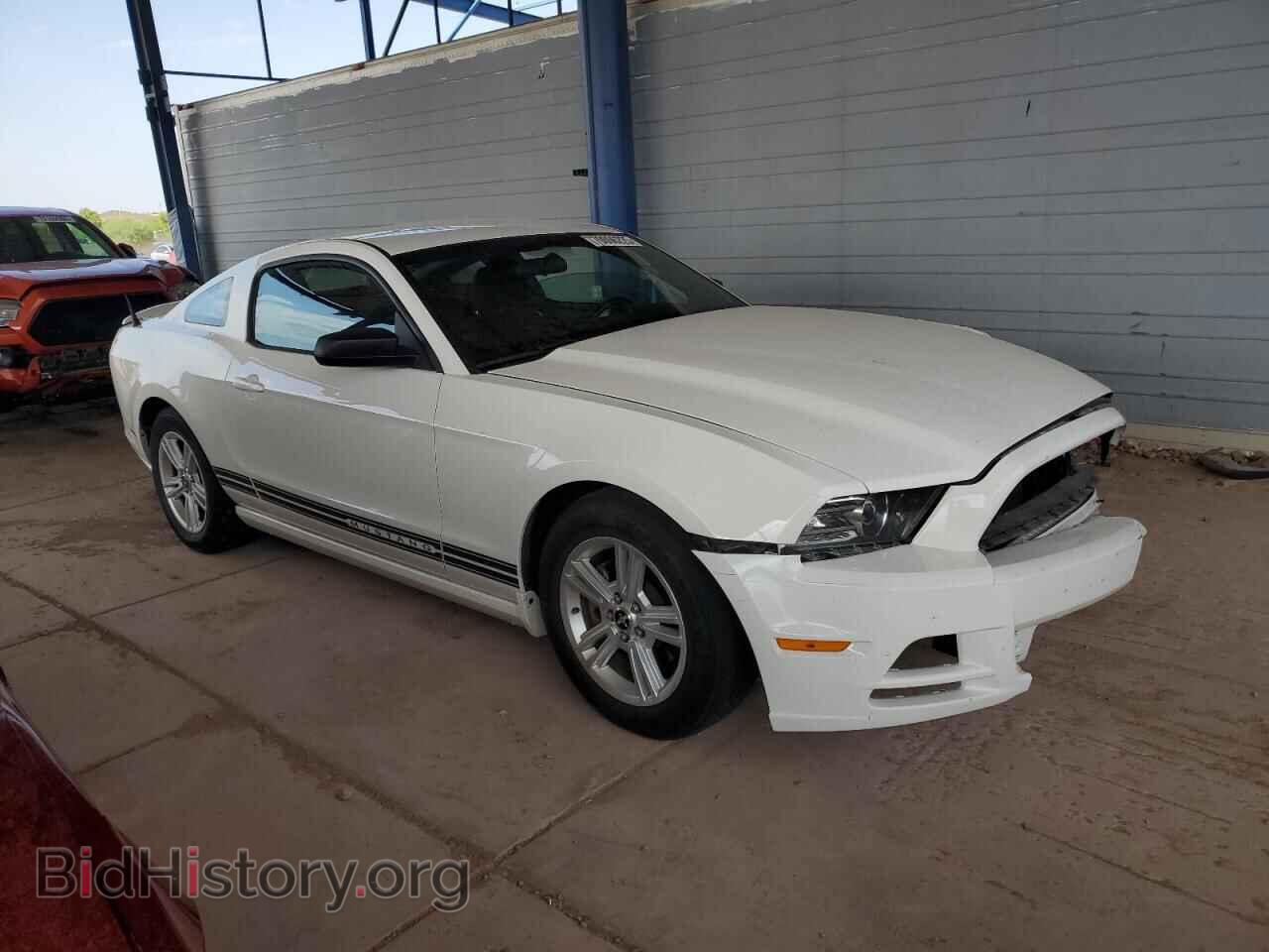 2013 FORD ALL Models - VIN: 1ZVBP8AM0D5259615 - Фото 4