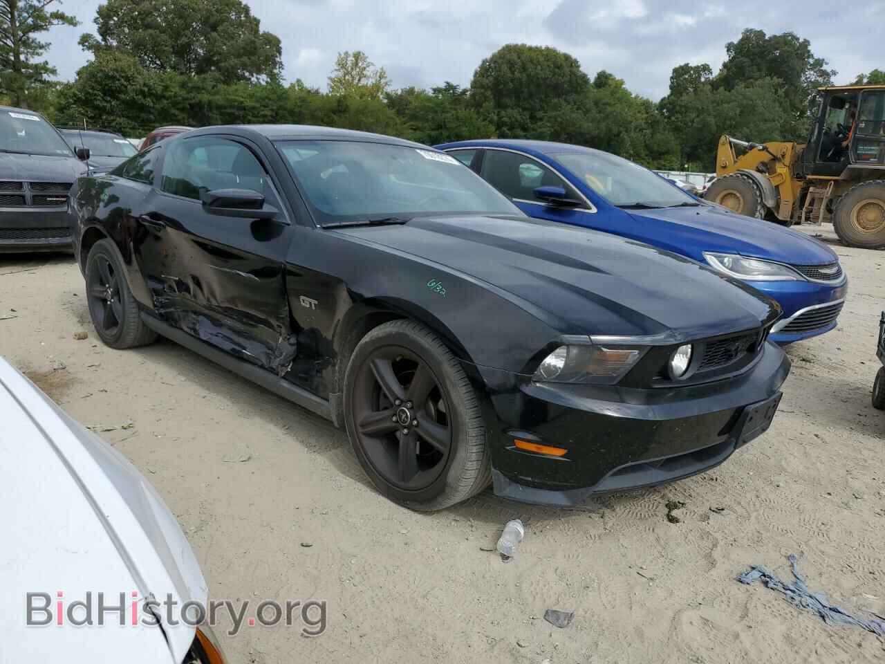 2010 FORD MUSTANG - VIN: 1ZVBP8CH7A5163606 - Фото 4